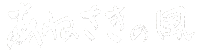 『あねさきの風 ~学び直しで立ち直った不良をちと学校の物語~』 『あねさきの風 ~学び直しで立ち直った不良をちと学校の物語~』